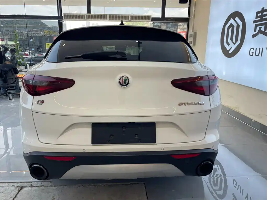 Alfa Romeo Stelvio 2019 — фото 21