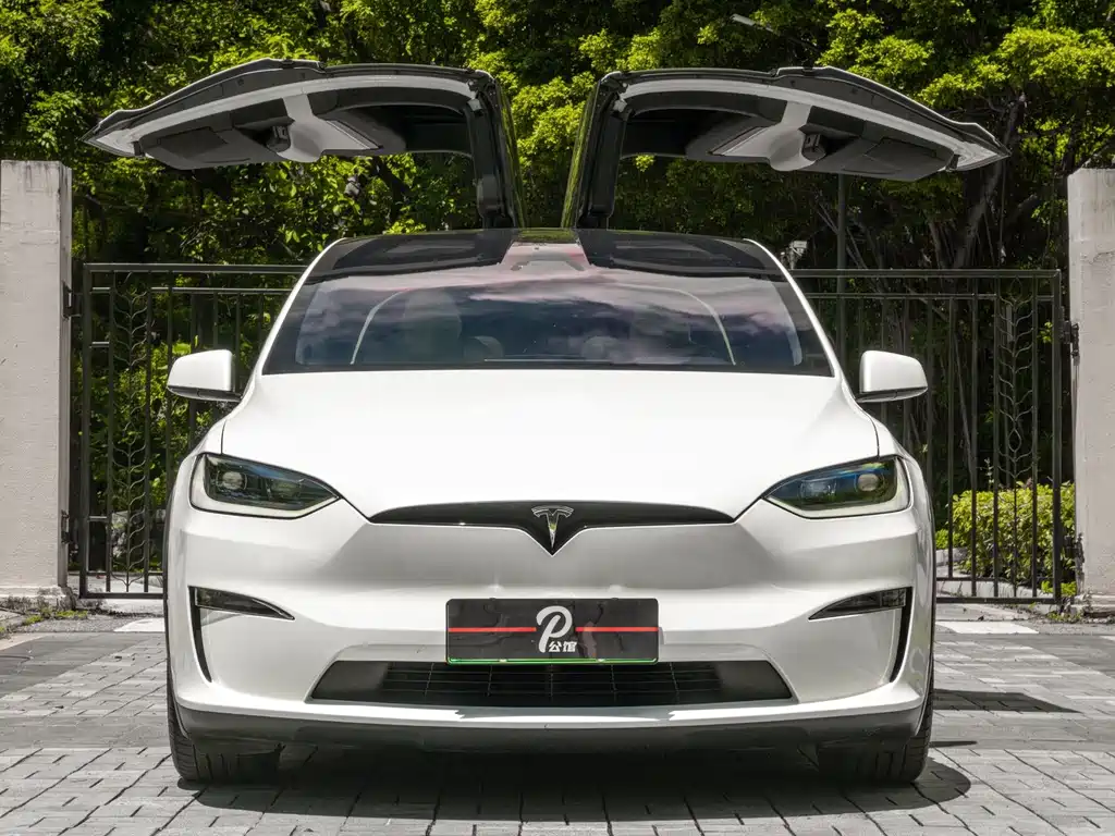 Tesla Model X 2023 — фото 2