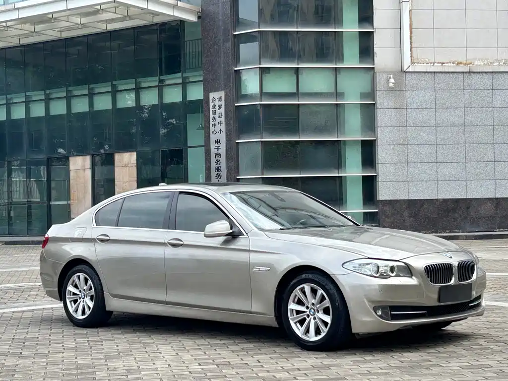 BMW 5 Series 2010
