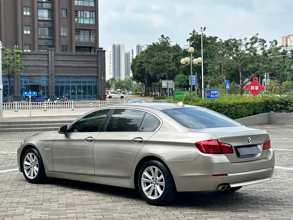 BMW 5 Series 2010