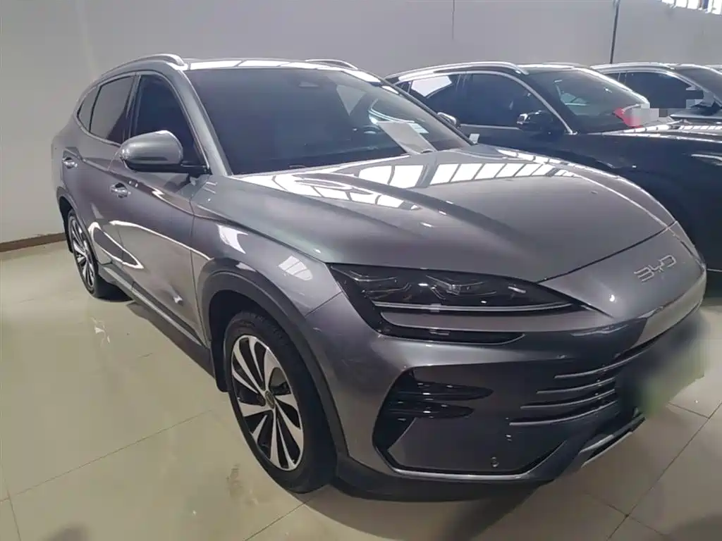 BYD PLUS New Energy 2024 — фото 4