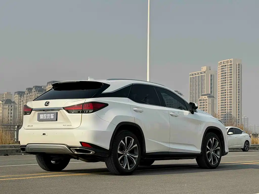 Lexus RX 2020 — фото 10
