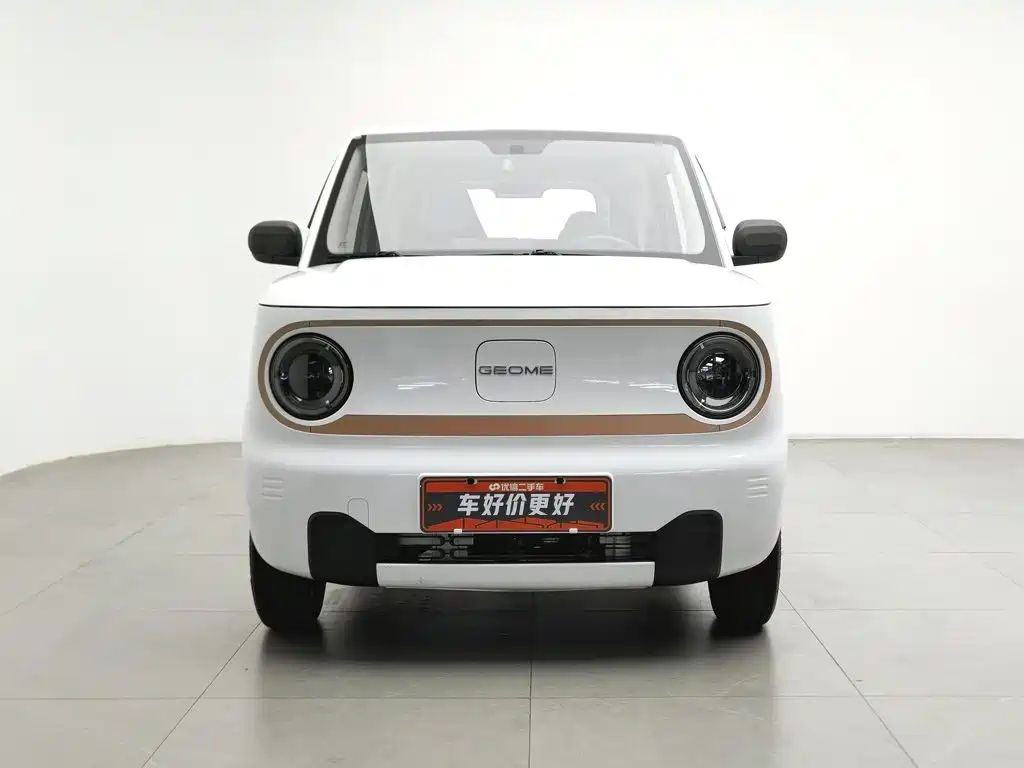 Geely Galaxy Panda 2024 — фото 3