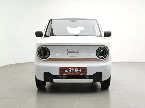 Geely Galaxy Panda 2024