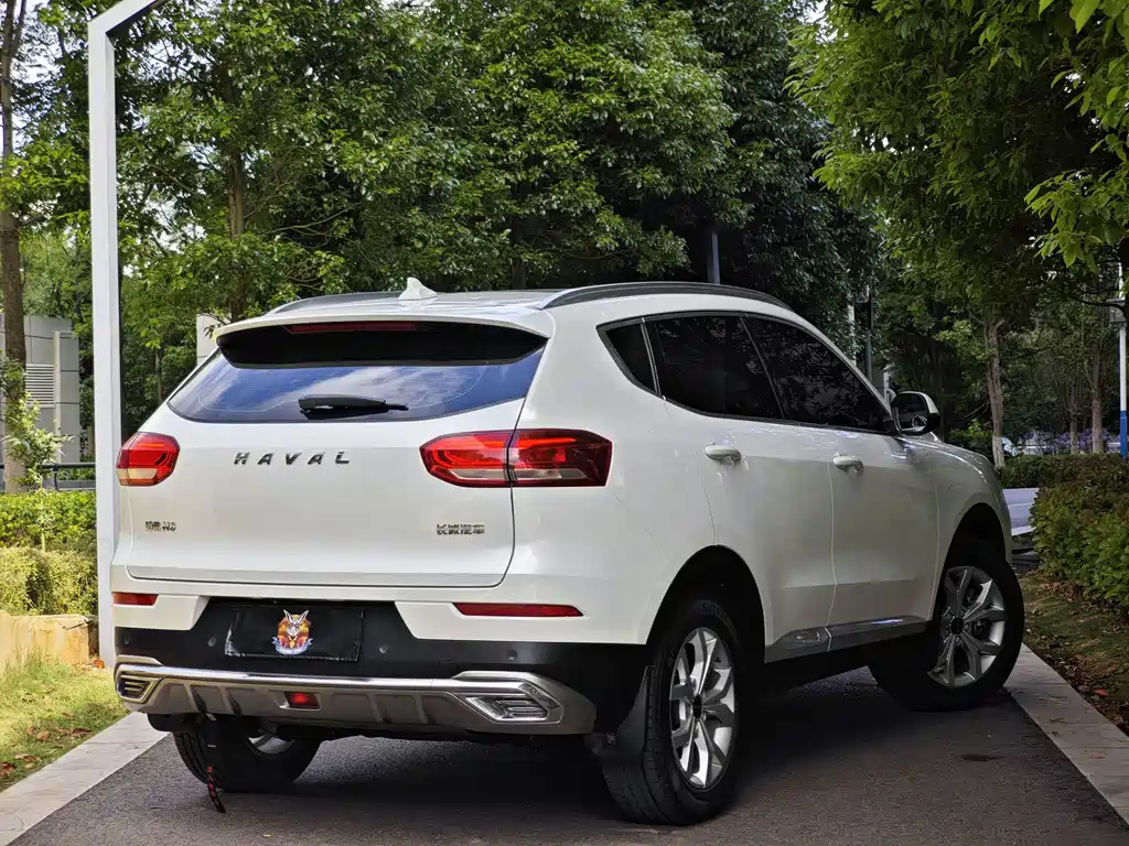 Haval H6 2020 — фото 6