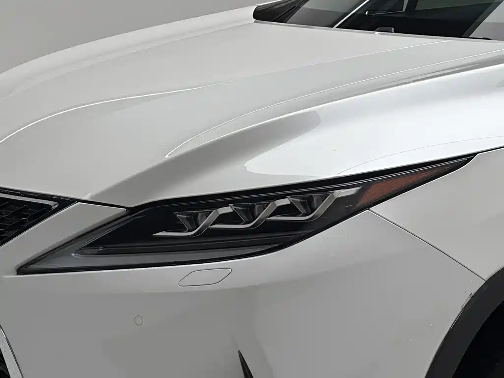 Lexus RX 2020 — фото 19
