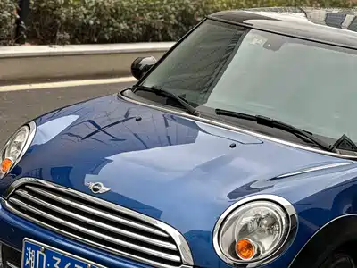 MINI MINI 2012