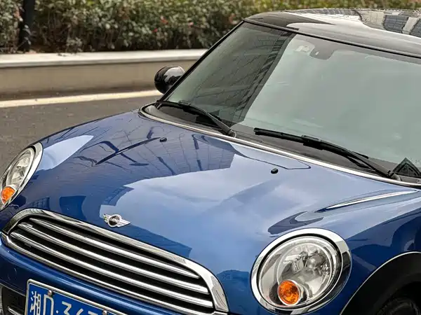 MINI MINI 2012