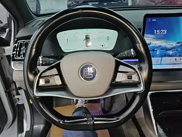 BYD Tang New Energy 2024