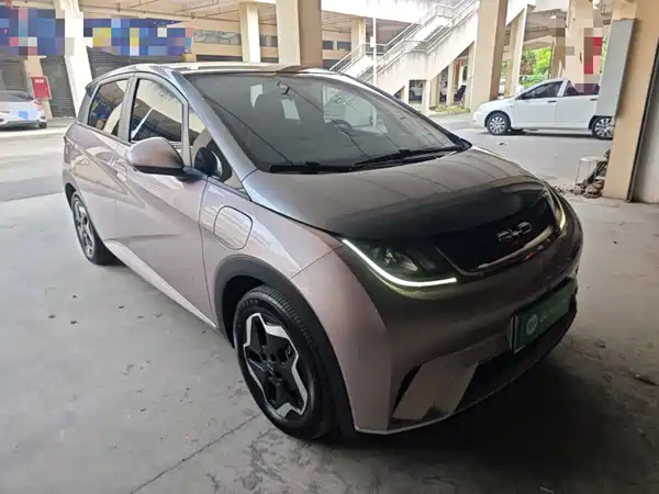 BYD Dolphin 2022