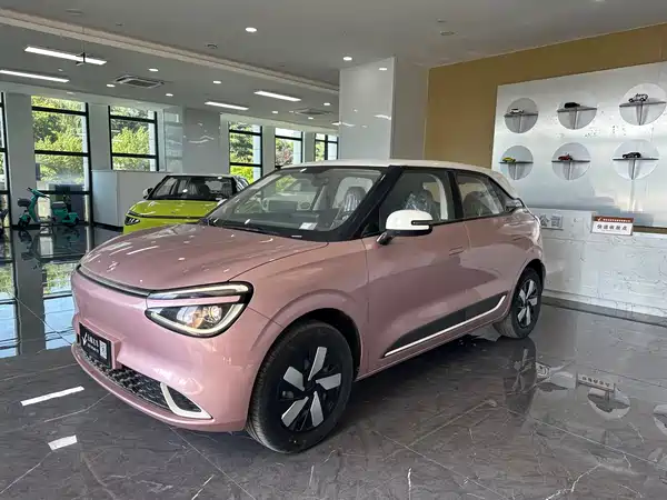 Dongfeng Nano 01 2024