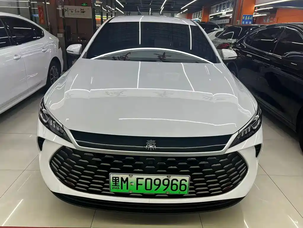 BYD Qin PLUS 2025 — фото 2