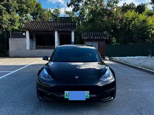 Tesla Model 3 2022