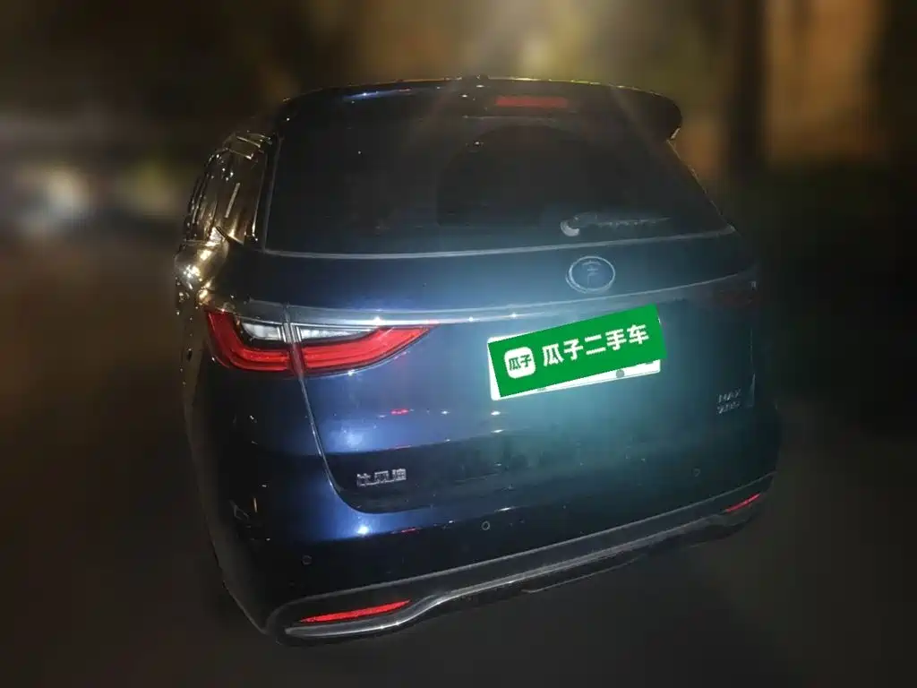 BYD Song MAX New Energy 2020 — фото 25