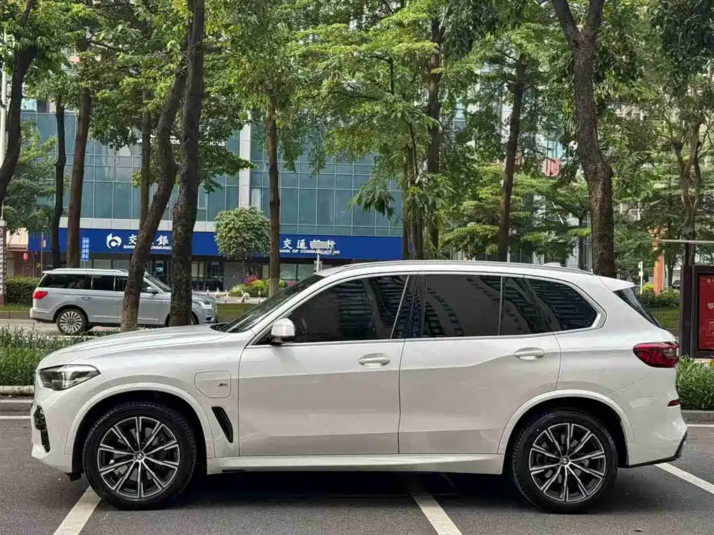 BMW X5 New Energy 2020 — фото 2