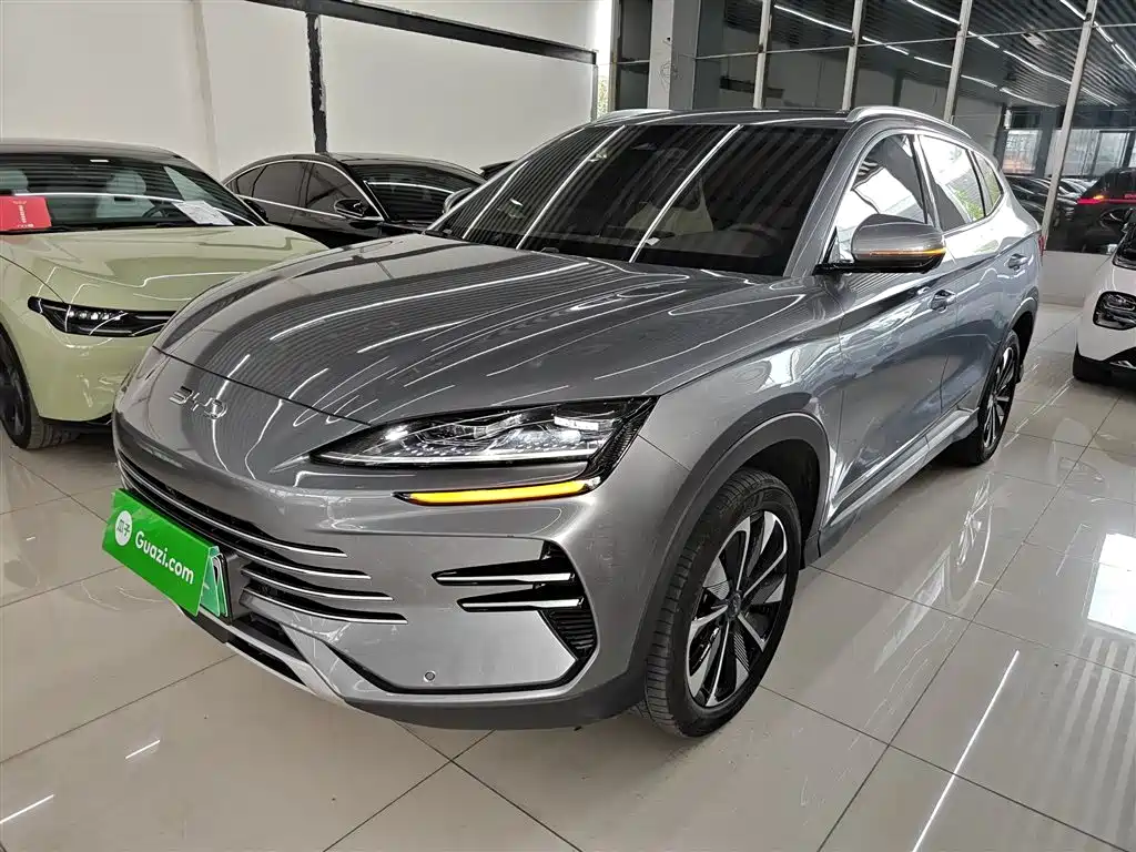 BYD PLUS New Energy 2024 — фото 2