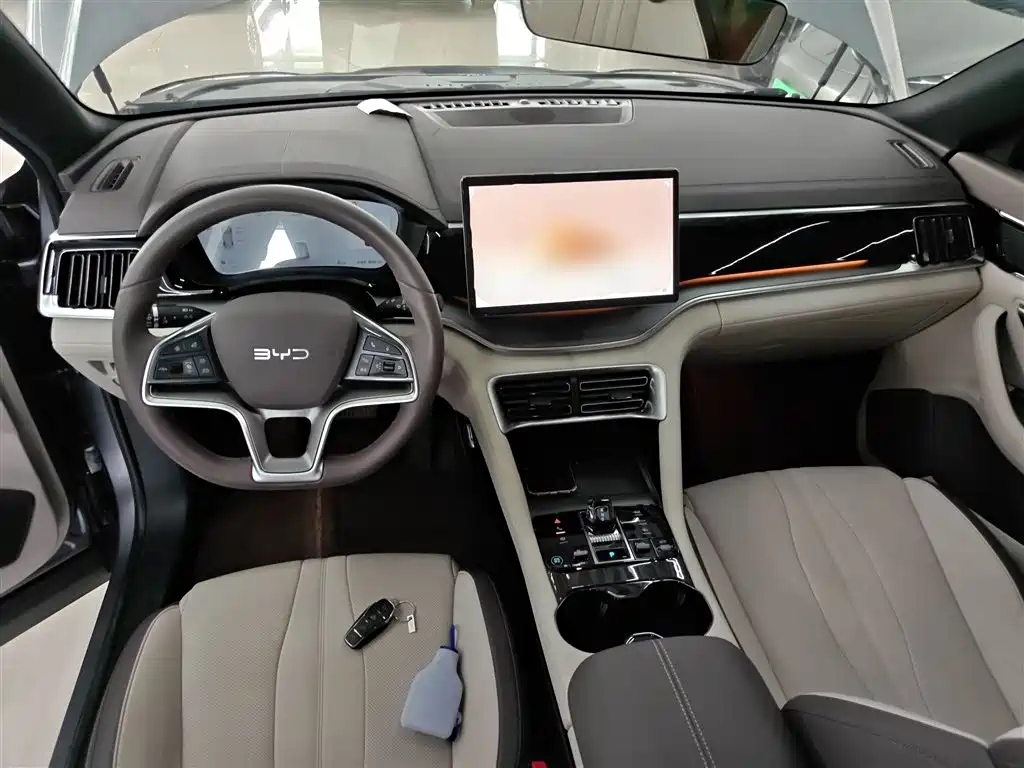 BYD PLUS New Energy 2024 — фото 10