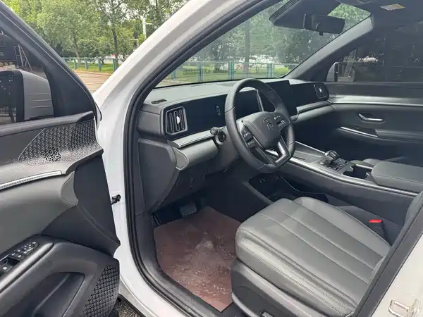 BYD Song Pro New Energy 2025