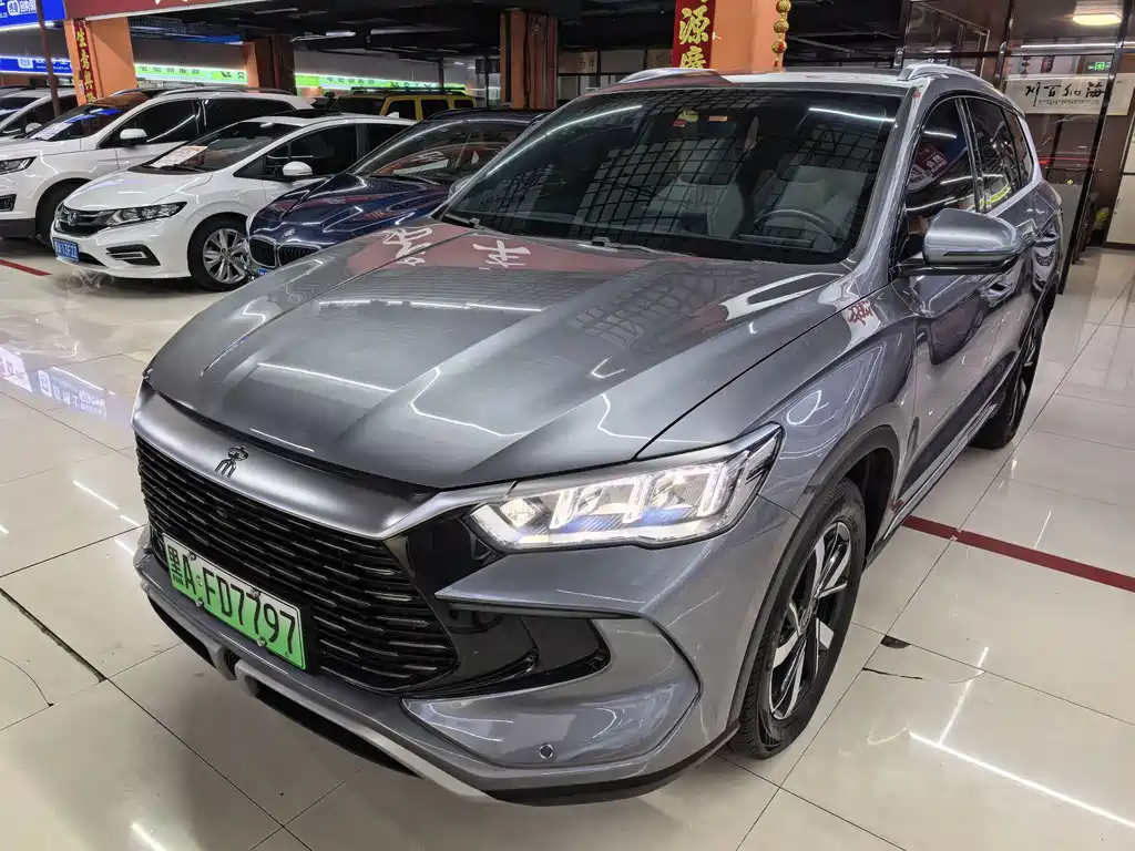 BYD Song Pro New Energy 2024 — фото 1