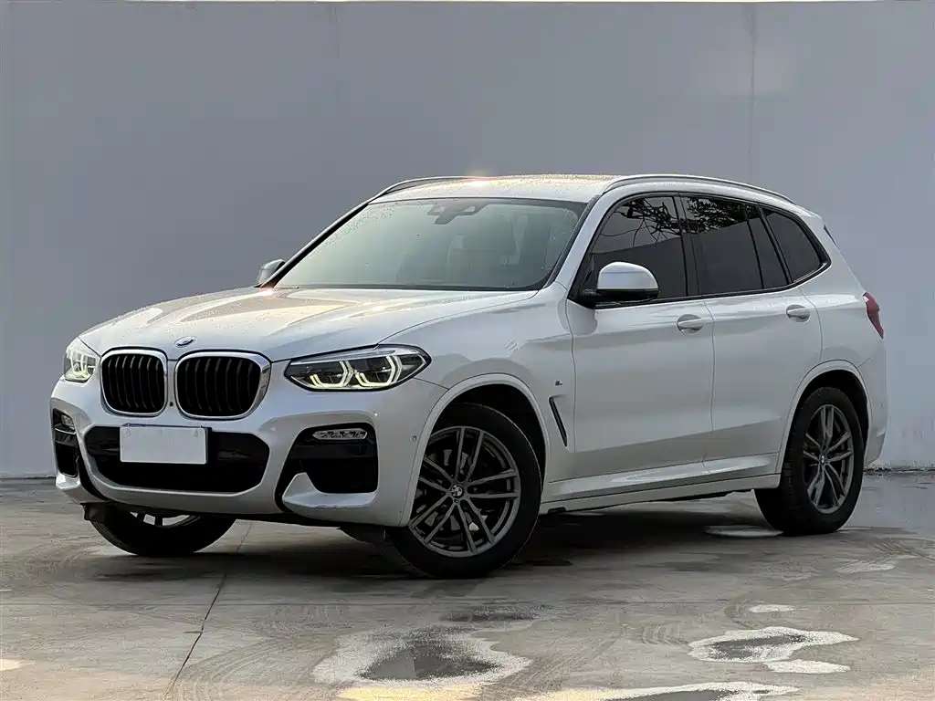 BMW X3 2019 — фото 1