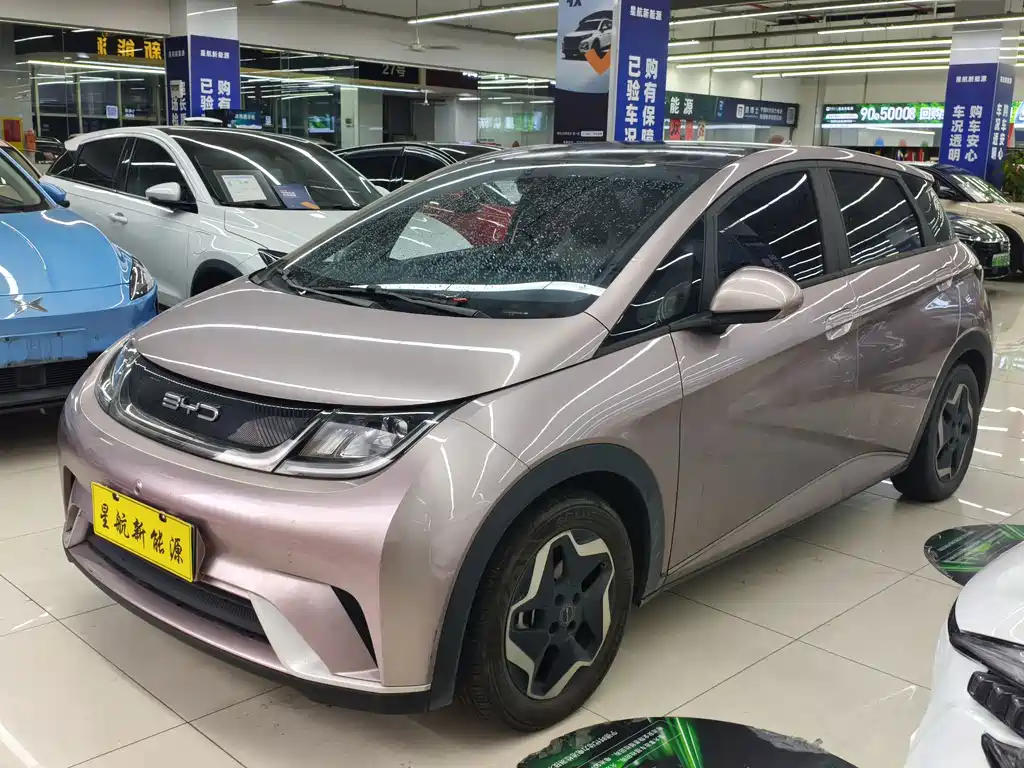 BYD Dolphin 2022