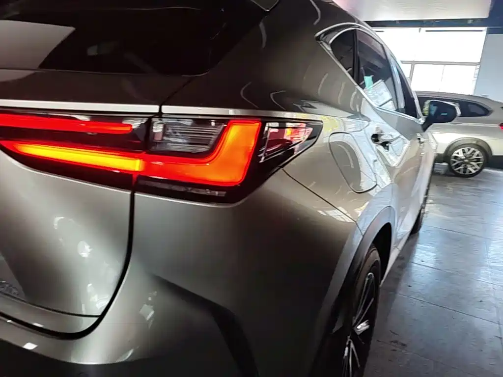 Lexus NX New Energy 2024 — фото 8