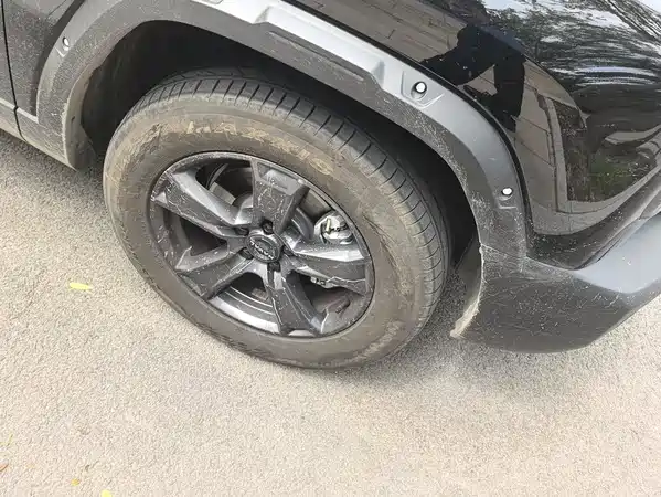 Haval Raptors Fuel 2025
