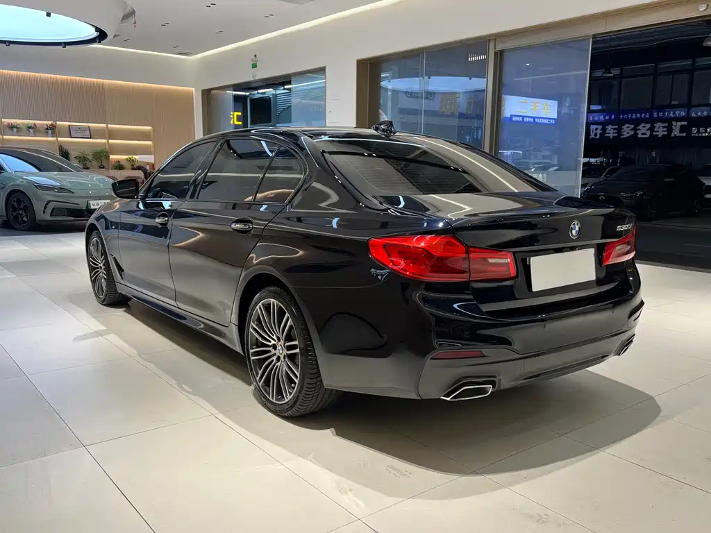 BMW 5 Series 2018 — фото 6