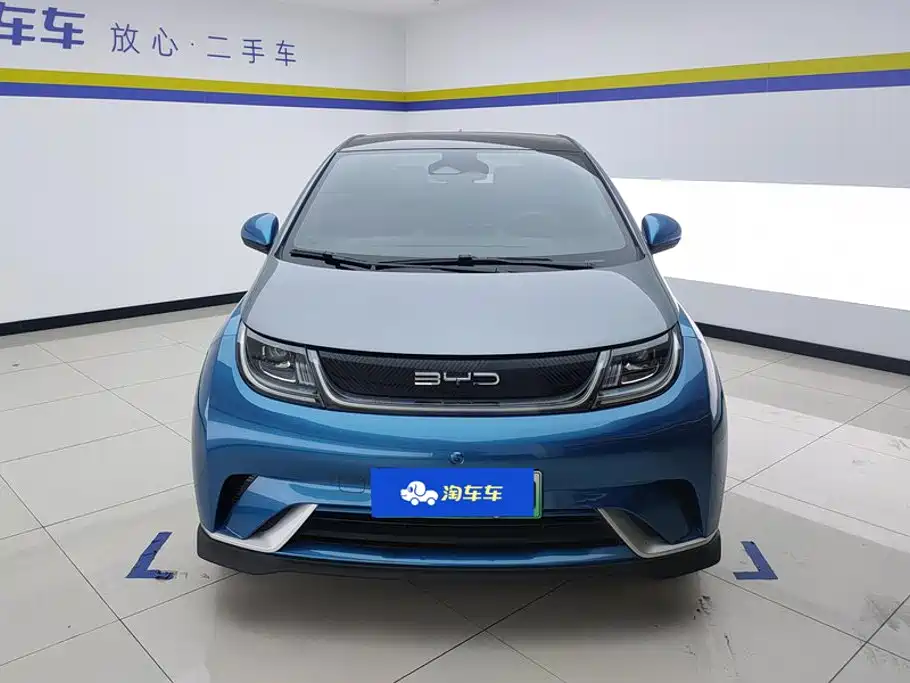BYD Dolphin 2022