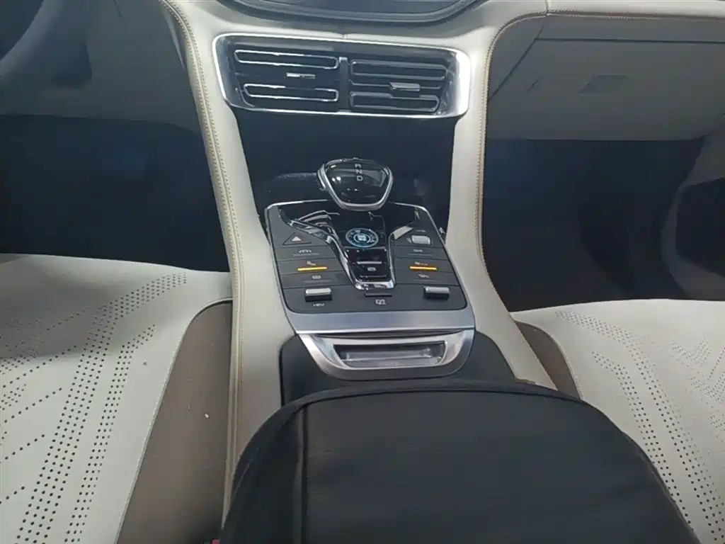 BYD PLUS New Energy 2022 — фото 14