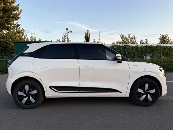 Dongfeng Nano 01 2025
