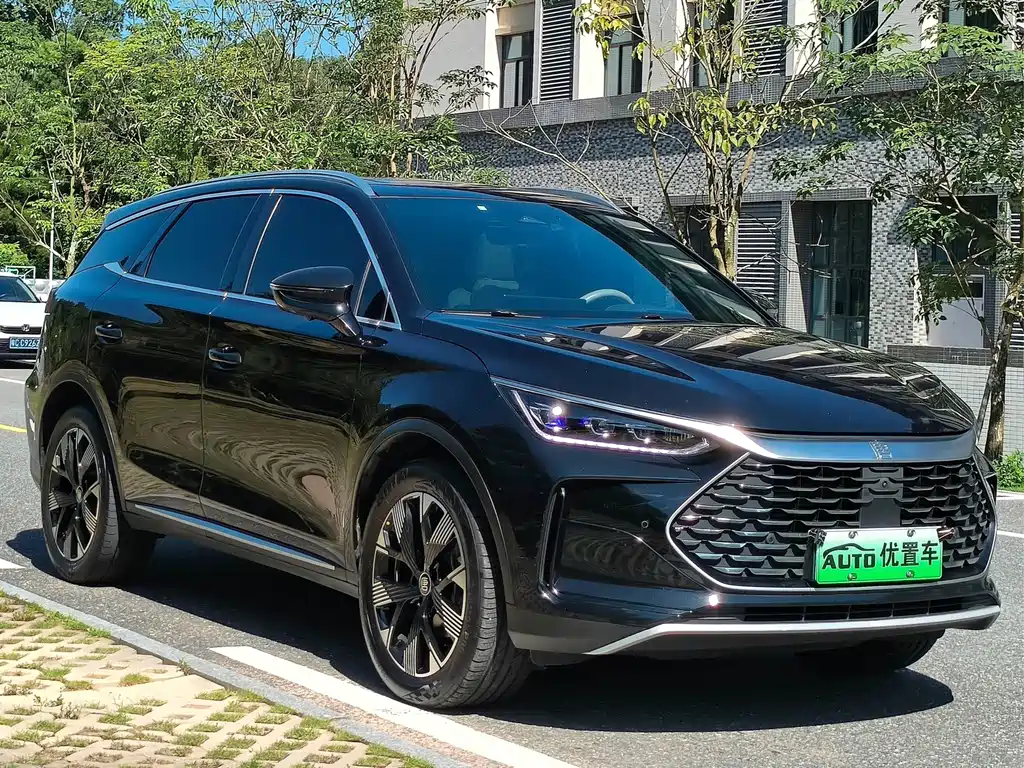 BYD Tang New Energy 2024 — фото 11