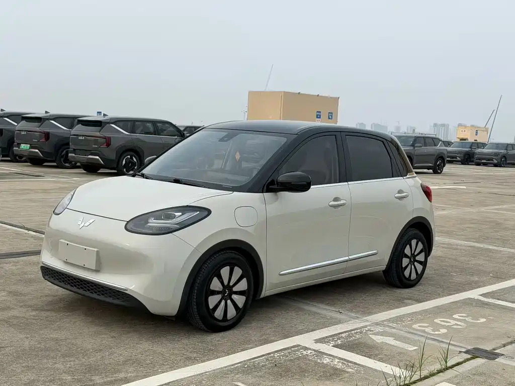 Wuling Bingo 2024