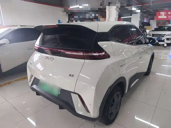 BYD Seagull 2024