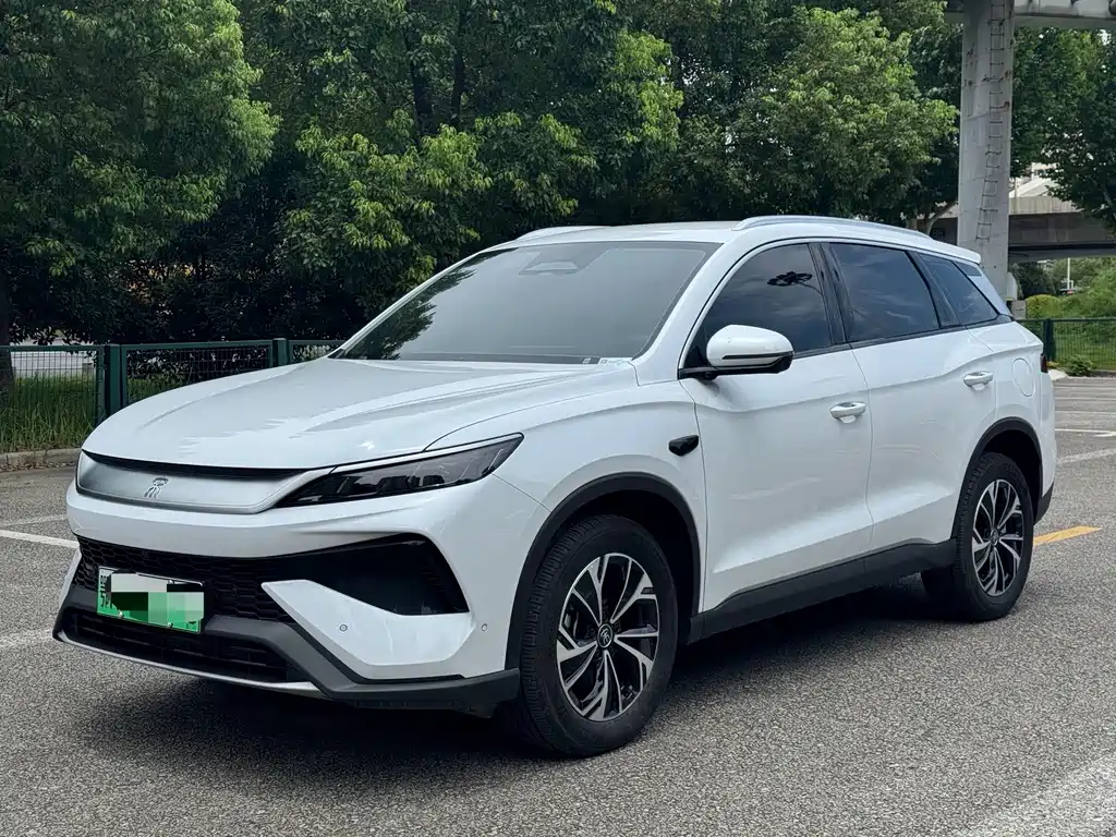 BYD Song Pro New Energy 2025 — фото 1
