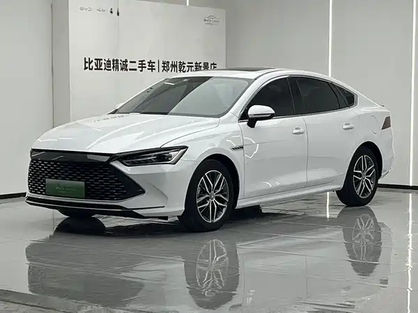BYD Qin PLUS 2021
