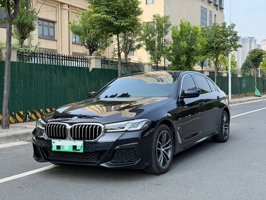 BMW 5 Series New Energy 2021
