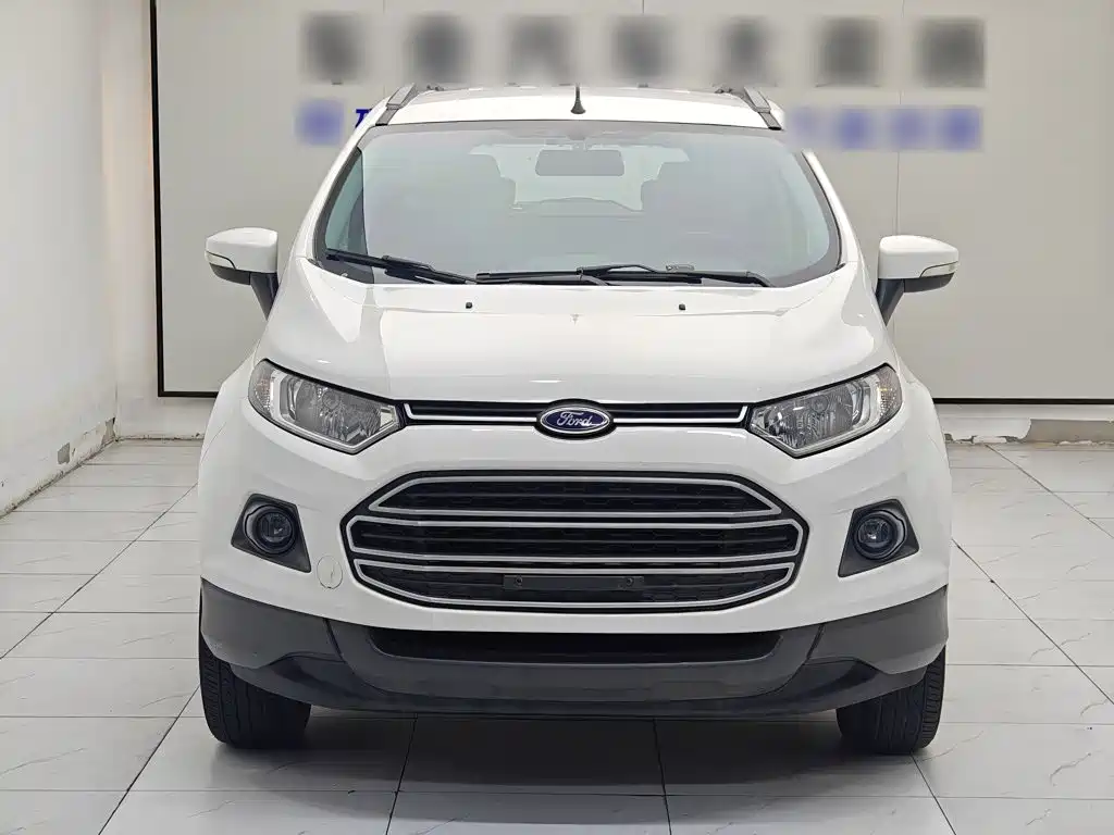 Ford EcoSport 2014 — фото 18
