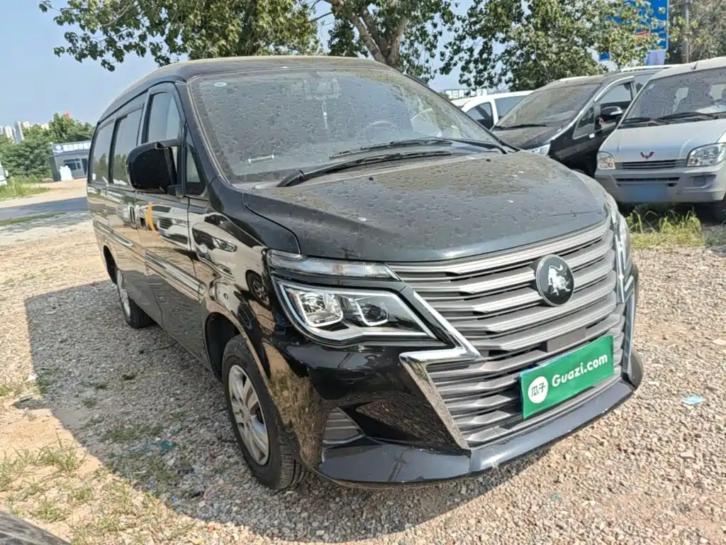 Fengxing Lingzhi 2023