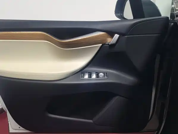 Tesla Model X 2019