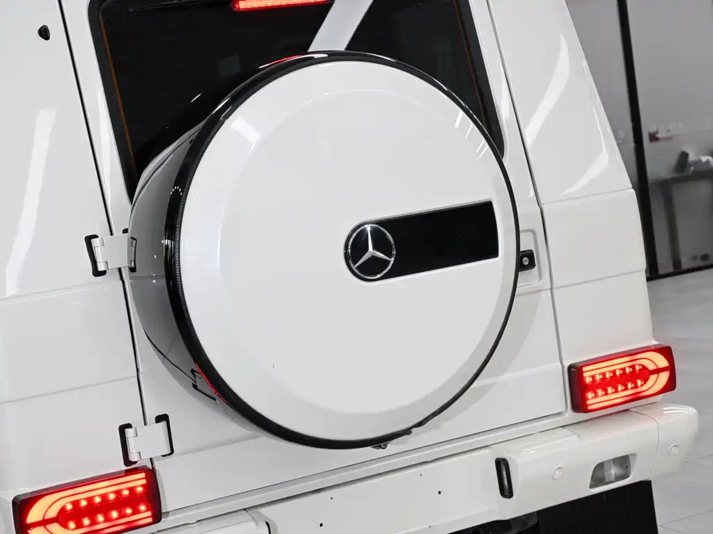 Mercedes-Benz G-Class 2018 — фото 11