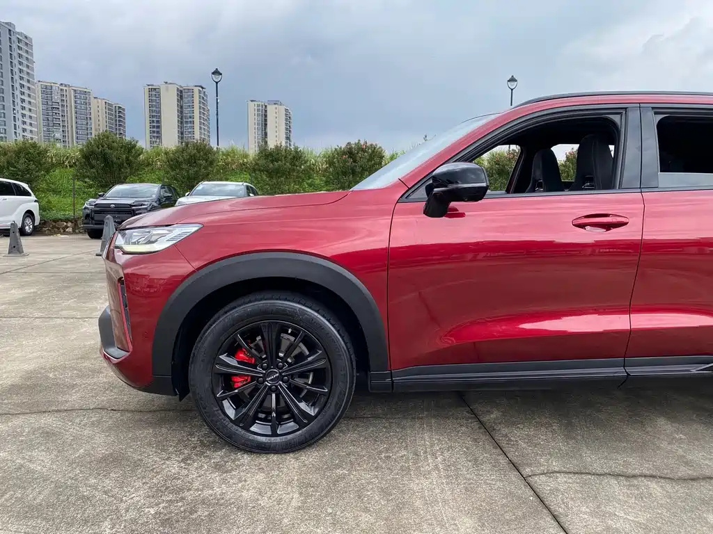 Haval H6S 2022 — фото 19