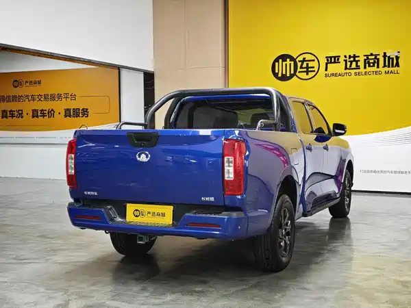 Great Wall Poer 2022