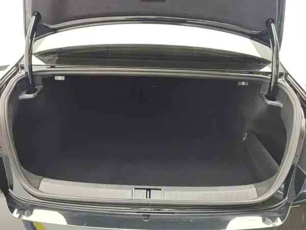 Volkswagen Magotan 2020