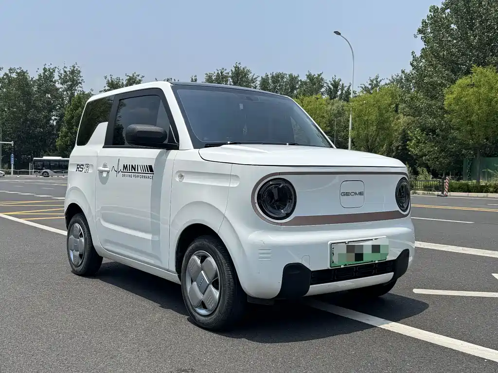 Galaxy Panda 2024
