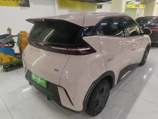 BYD Seagull 2024