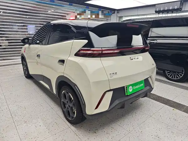 BYD Seagull 2024