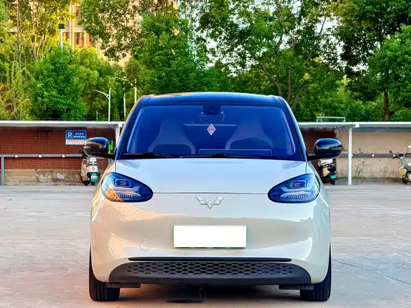 Wuling Bingo 2024