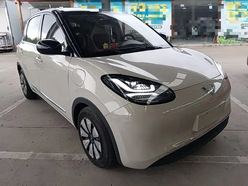 Wuling Bingo 2024