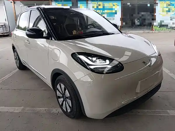 Wuling Bingo 2024